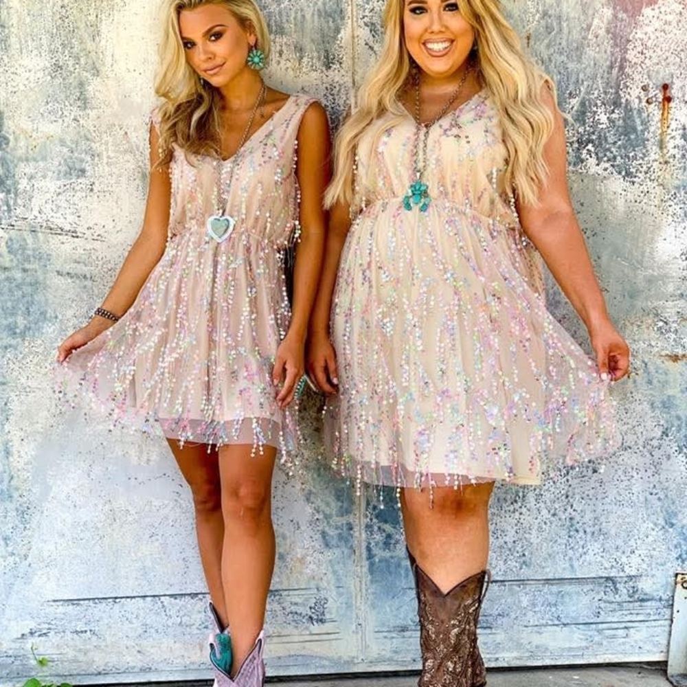 NWT Souther Fried Chics Shimmy For Me Sequin Dress